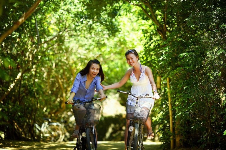 Deux femmes font du vélo en forêt ensoleillée.